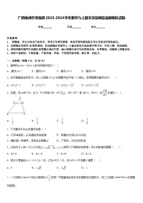 广西梧州市苍梧县2023-2024学年数学九上期末质量跟踪监视模拟试题含答案