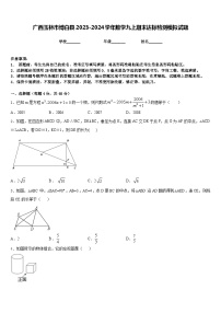 广西玉林市博白县2023-2024学年数学九上期末达标检测模拟试题含答案