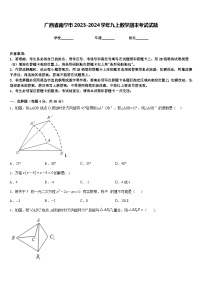广西省南宁市2023-2024学年九上数学期末考试试题含答案