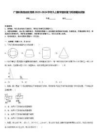 广西壮族自治区湾县2023-2024学年九上数学期末复习检测模拟试题含答案