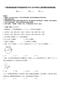 广西壮族自治区南宁市天桃实验学校2023-2024学年九上数学期末达标检测试题含答案