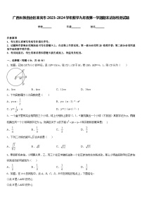 广西壮族自治区来宾市2023-2024学年数学九年级第一学期期末达标检测试题含答案