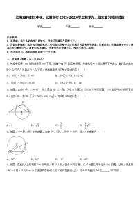 江苏省丹阳三中学、云阳学校2023-2024学年数学九上期末复习检测试题含答案