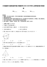 江苏省南京江北新区南京市浦口外国语学校2023-2024学年九上数学期末复习检测试题含答案