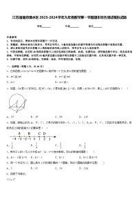 江苏省南京溧水区2023-2024学年九年级数学第一学期期末综合测试模拟试题含答案