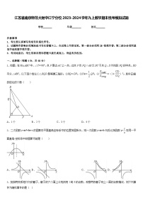 江苏省南京师范大附中江宁分校2023-2024学年九上数学期末统考模拟试题含答案