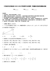 江苏省兴化市顾庄区2023-2024学年数学九年级第一学期期末质量检测模拟试题含答案