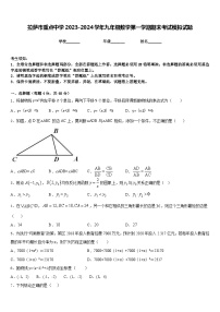 拉萨市重点中学2023-2024学年九年级数学第一学期期末考试模拟试题含答案