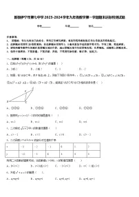 新疆伊宁市第七中学2023-2024学年九年级数学第一学期期末达标检测试题含答案