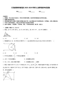 江苏省常州市新北区2023-2024学年九上数学期末考试试题含答案