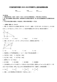 江苏省句容市华阳片2023-2024学年数学九上期末监测模拟试题含答案