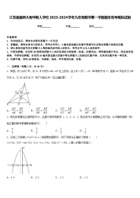 江苏省南师大附中树人学校2023-2024学年九年级数学第一学期期末统考模拟试题含答案