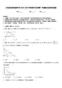 江苏省无锡市南菁中学2023-2024学年数学九年级第一学期期末达标检测试题含答案