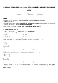 江苏省徐州市新城实验学校2023-2024学年九年级数学第一学期期末学业质量监测模拟试题含答案