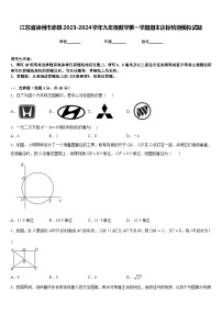 江苏省徐州市沛县2023-2024学年九年级数学第一学期期末达标检测模拟试题含答案