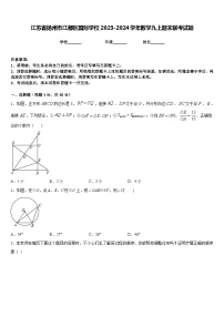 江苏省扬州市江都区国际学校2023-2024学年数学九上期末联考试题含答案