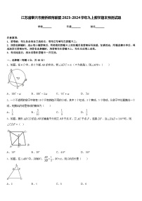 江苏省泰兴市黄桥教育联盟2023-2024学年九上数学期末预测试题含答案