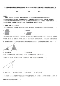 江苏省泰州市姜堰区张甸初级中学2023-2024学年九上数学期末学业质量监测试题含答案