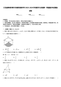 江苏省泰州市泰兴市黄桥初级中学2023-2024学年数学九年级第一学期期末考试模拟试题含答案