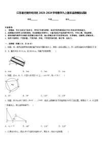 江苏省无锡市经开区2023-2024学年数学九上期末监测模拟试题含答案