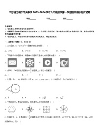 江苏省无锡市羊尖中学2023-2024学年九年级数学第一学期期末达标测试试题含答案