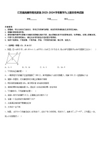 江苏省高邮市阳光双语2023-2024学年数学九上期末统考试题含答案