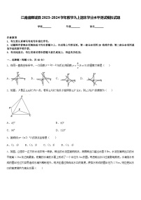 江南省郸城县2023-2024学年数学九上期末学业水平测试模拟试题含答案