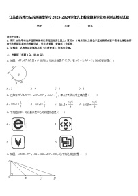 江苏省苏州市姑苏区振华学校2023-2024学年九上数学期末学业水平测试模拟试题含答案