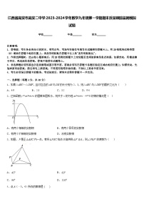 江西省高安市高安二中学2023-2024学年数学九年级第一学期期末质量跟踪监视模拟试题含答案