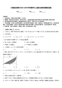 江西省永新县2023-2024学年数学九上期末达标检测模拟试题含答案