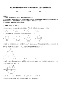 河北省沧州青县联考2023-2024学年数学九上期末检测模拟试题含答案