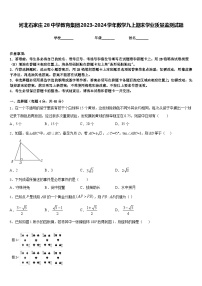 河北石家庄28中学教育集团2023-2024学年数学九上期末学业质量监测试题含答案