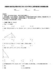 河南周口地区洪山乡联合学校2023-2024学年九上数学期末复习检测模拟试题含答案