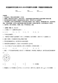 河北省廊坊市文安县2023-2024学年数学九年级第一学期期末经典模拟试题含答案