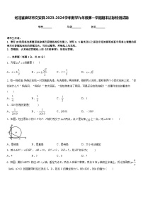 河北省廊坊市文安县2023-2024学年数学九年级第一学期期末达标检测试题含答案