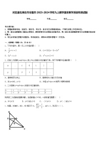 河北省石家庄市辛集市2023-2024学年九上数学期末教学质量检测试题含答案