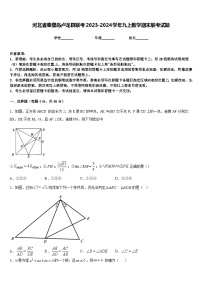 河北省秦皇岛卢龙县联考2023-2024学年九上数学期末联考试题含答案