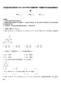 河北省石家庄市新华区2023-2024学年九年级数学第一学期期末学业质量监测模拟试题含答案