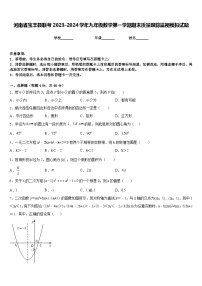 河南省宝丰县联考2023-2024学年九年级数学第一学期期末质量跟踪监视模拟试题含答案