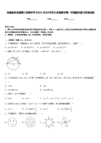 河南省府店镇第三初级中学2023-2024学年九年级数学第一学期期末复习检测试题含答案