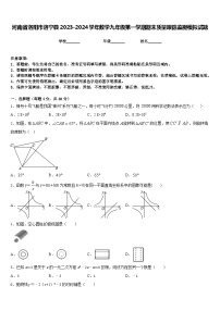 河南省洛阳市洛宁县2023-2024学年数学九年级第一学期期末质量跟踪监视模拟试题含答案