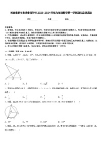 河南省新乡市清华园学校2023-2024学年九年级数学第一学期期末监测试题含答案