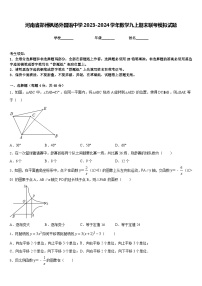 河南省郑州枫杨外国语中学2023-2024学年数学九上期末联考模拟试题含答案