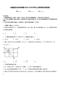 河南省驻马店市泌阳县2023-2024学年九上数学期末检测试题含答案