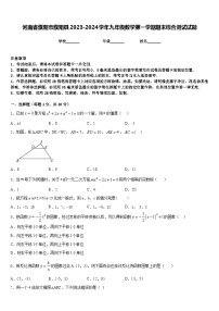 河南省濮阳市濮阳县2023-2024学年九年级数学第一学期期末综合测试试题含答案