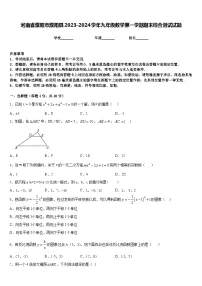 河南省濮阳市濮阳县2023-2024学年九年级数学第一学期期末综合测试试题含答案