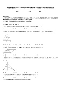 河南省鹿邑县2023-2024学年九年级数学第一学期期末教学质量检测试题含答案