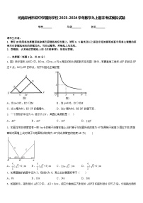 河南郑州市郑中学国际学校2023-2024学年数学九上期末考试模拟试题含答案