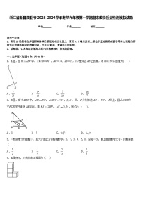 浙江省新昌县联考2023-2024学年数学九年级第一学期期末教学质量检测模拟试题含答案