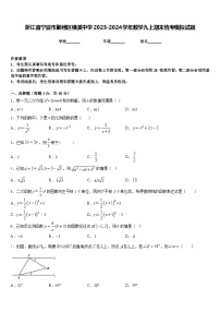 浙江省宁波市鄞州区横溪中学2023-2024学年数学九上期末统考模拟试题含答案